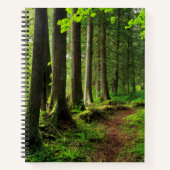 Carnet Sentier de la forêt verte Scénique (Devant)