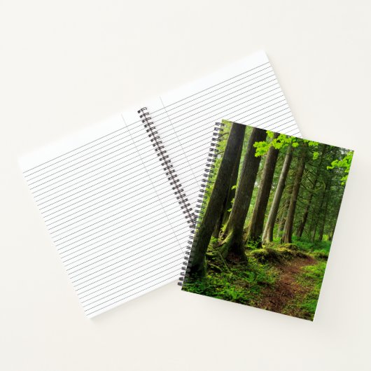 Carnet Sentier de la forêt verte Scénique (Intérieur)