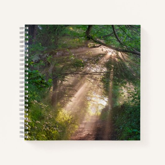 Carnet sentier forestier (Devant)