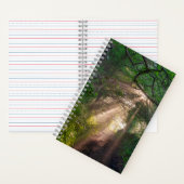 Carnet sentier forestier (À l'intérieur)