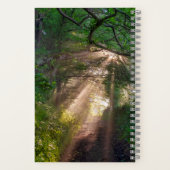 Carnet sentier forestier (Verso)