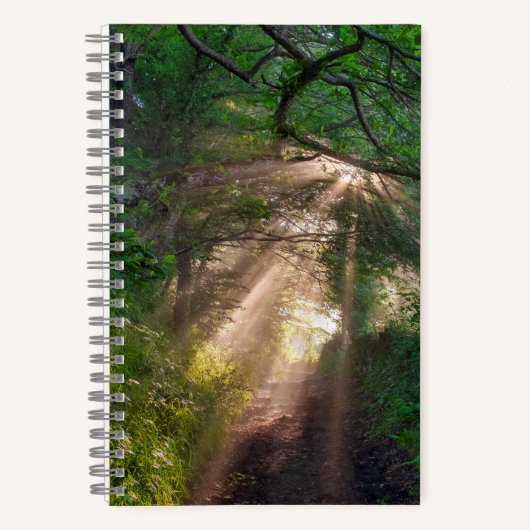 Carnet sentier forestier (Recto)