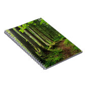 Carnet Sentier Scénique de la Forêt Verte (Côté Droit)