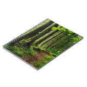 Carnet Sentier Scénique de la Forêt Verte (Côté gauche)