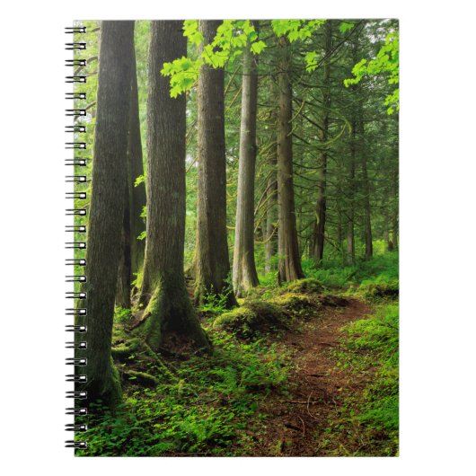 Carnet Sentier Scénique de la Forêt Verte (Devant)
