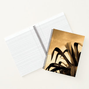 Carnet Sepia Aloe Plante