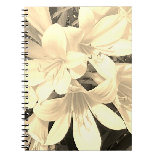 Carnet Sepia Blooms (Devant)