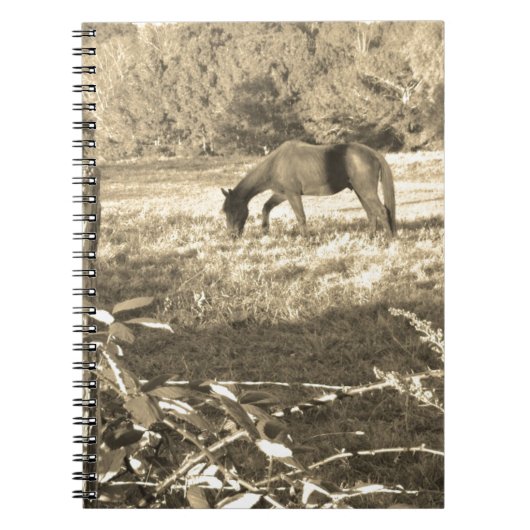 Carnet Sepia ton cheval Brown et clôture (Devant)