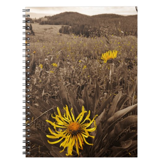 Carnet Sepia tone fleurs sauvages jaunes (Devant)