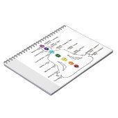 Carnet Sept chakras (Côté gauche)