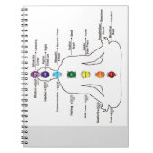 Carnet Sept chakras (Devant)