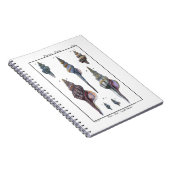 Carnet Sept Coquillages Colorés (Côté Droit)