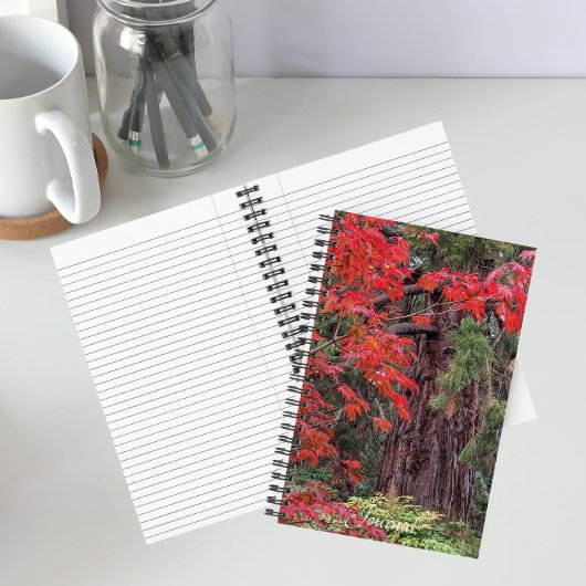 Carnet Séquoia géant et feuilles d'érable rouge
