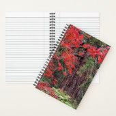 Carnet Séquoia géant et feuilles d'érable rouge (À l'intérieur)