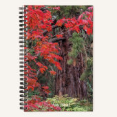 Carnet Séquoia géant et feuilles d'érable rouge (Recto)