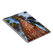 Carnet Séquoia géante (Côté Droit)