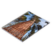 Carnet Séquoia géante (Côté gauche)