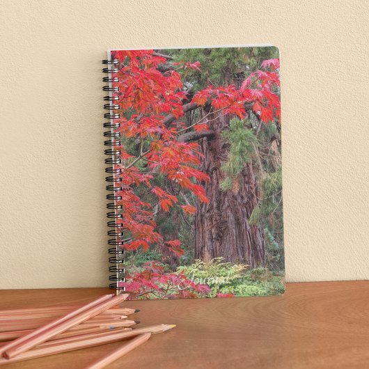Carnet Séquoia géante et Feuilles d'érable rouge