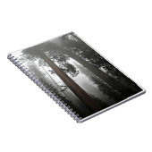 Carnet Séquoia géantes dans le brouillard, CA (Côté Droit)