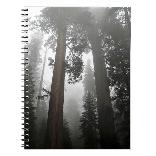 Carnet Séquoia géantes dans le brouillard, CA (Devant)