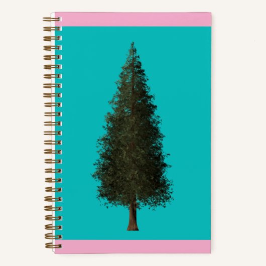 Carnet Sequoia notebook (Recto)