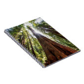 Carnet Séquoias géants (Côté Droit)