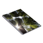 Carnet Séquoias géants, Parc d'État des Séquoias géants d (Côté Droit)