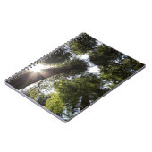 Carnet Séquoias géants, Parc d'État des Séquoias géants d (Côté gauche)
