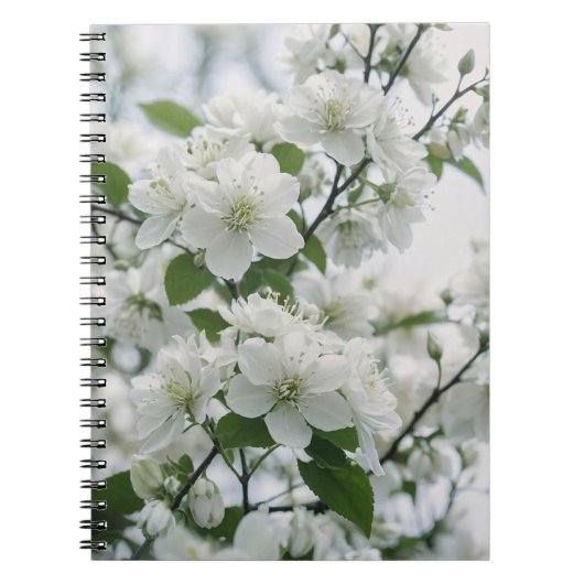 Carnet Serene Blossom : Une touffe de fleurs de cerisier (Devant)