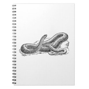 Carnet Serpent