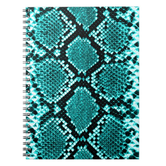 Carnet Serpent à sonnette à sonnette de diamant Aqua (Devant)