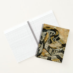 Carnet Serpent à sonnette en bois trempé