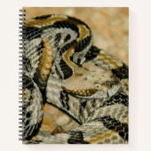 Carnet Serpent à sonnette en bois trempé (Devant)