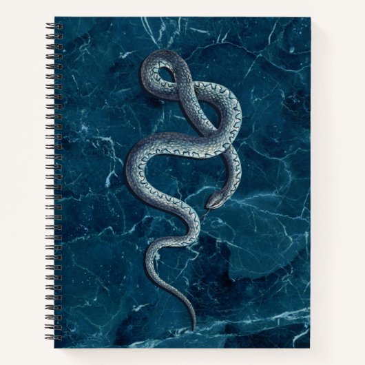 Carnet Serpent bleu vintage et marbre (Devant)