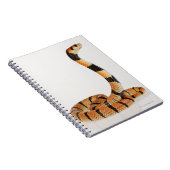 Carnet Serpent corail africain (Aspidelaps lubricus) (Côté Droit)