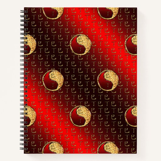 Carnet Serpent de feu (Devant)