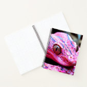 Carnet Serpent rose (Intérieur)