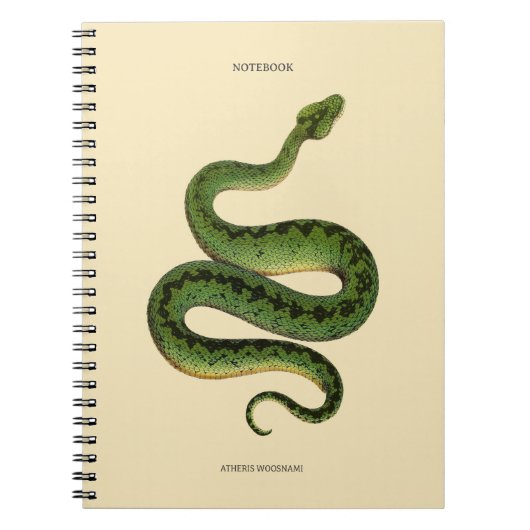 Carnet Serpent vert africain (Devant)