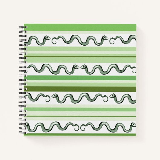 Carnet Serpents verts et motif rayé (Devant)