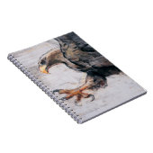 Carnet Serres - mer Eagle coupée la queue par blanc 2001 (Côté Droit)