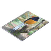 Carnet Shama Bird mâle à rames blanches (Côté gauche)
