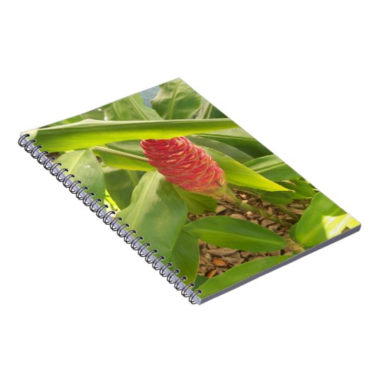 Carnet Shampooing Fleur de gingembre (Côté Droit)