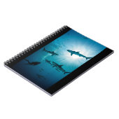 Carnet Sharks and Diver (Côté gauche)