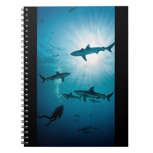 Carnet Sharks and Diver (Devant)