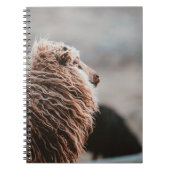 CARNET SHEEP (Devant)