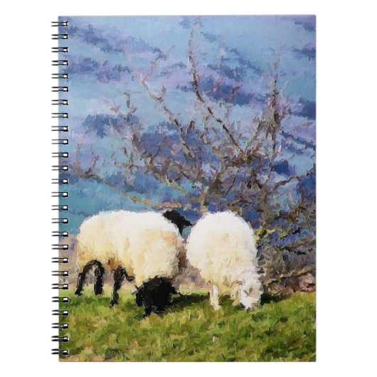 CARNET SHEEP (Devant)