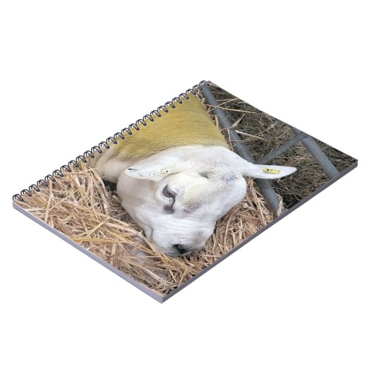 CARNET SHEEP (Côté gauche)