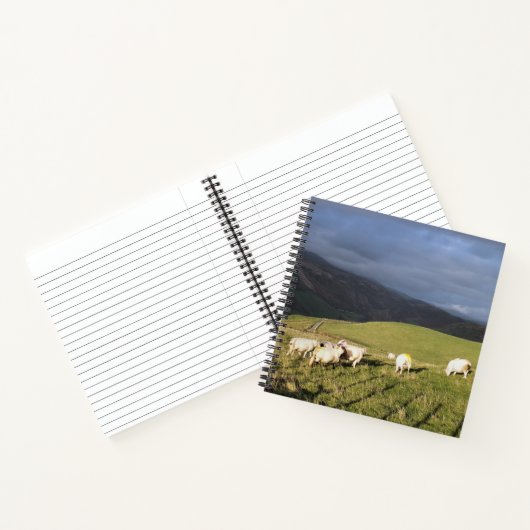 CARNET SHEEP DE MONTAGNE (Intérieur)