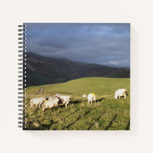 CARNET SHEEP DE MONTAGNE (Devant)