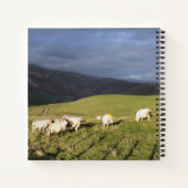 CARNET SHEEP DE MONTAGNE (Dos)